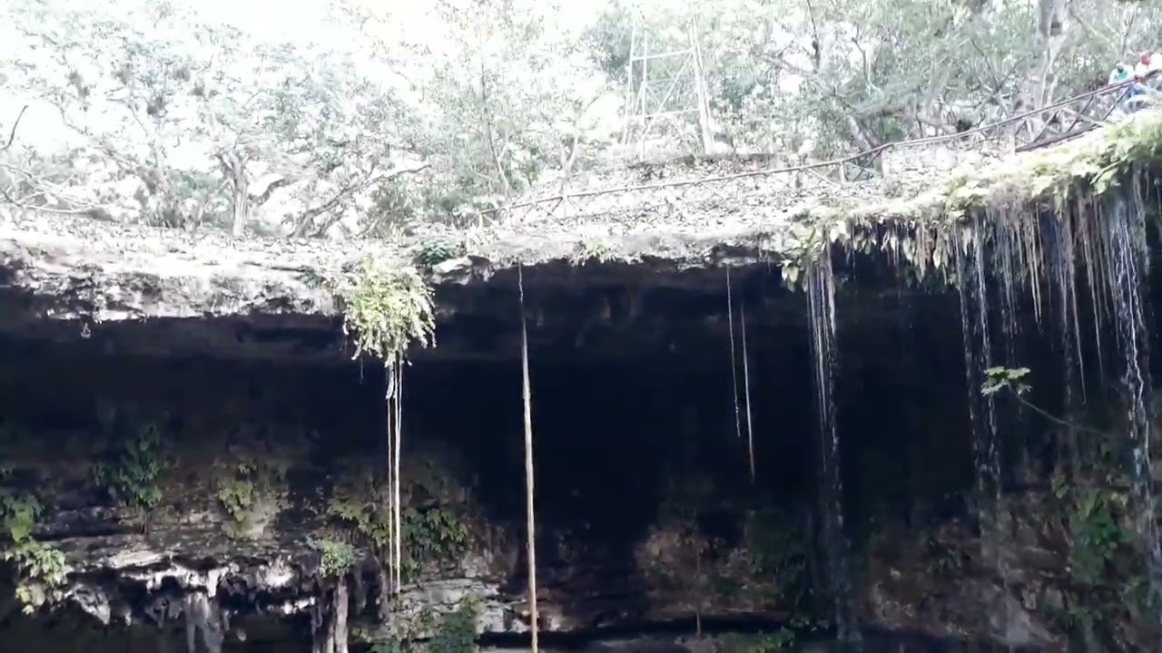 Exploring the Hidden Beauty of Xtoloc Cenote