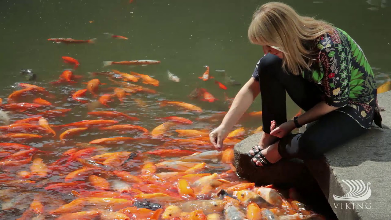 Explore the Beauty of Yu Yuan Garden