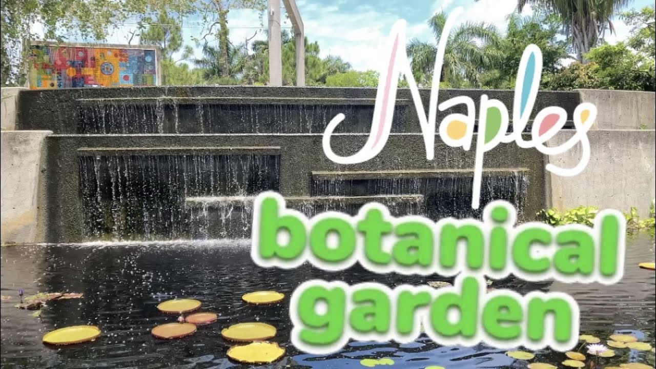 Explore Naples' Jardin Botanique: A Must-See Destination!